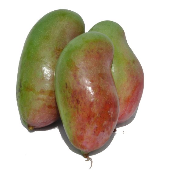 mangos de la yaya bio